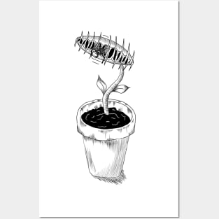 Dionaea Muscipula Venus Fly Trap House Plant Gift Posters and Art